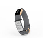 Fitbit iD