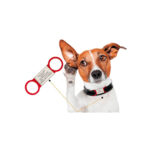 iD Way Pets Pequeños