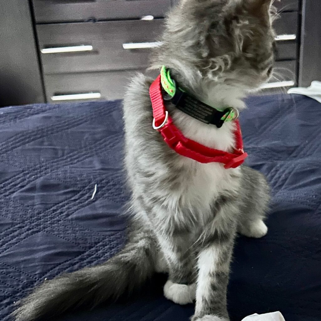 Imagen #1 de Alexandra Q.